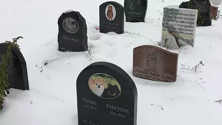 Штраф до 1260 руб. Белорусам назвали альтернативу скотомогильникам для захоронения своих котов и собак