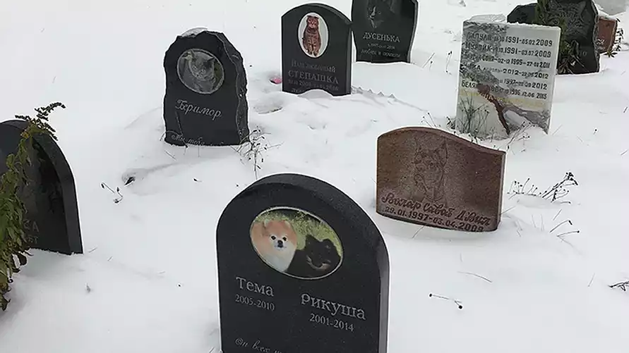 Штраф до 1260 руб. Белорусам назвали альтернативу скотомогильникам для захоронения своих котов и собак