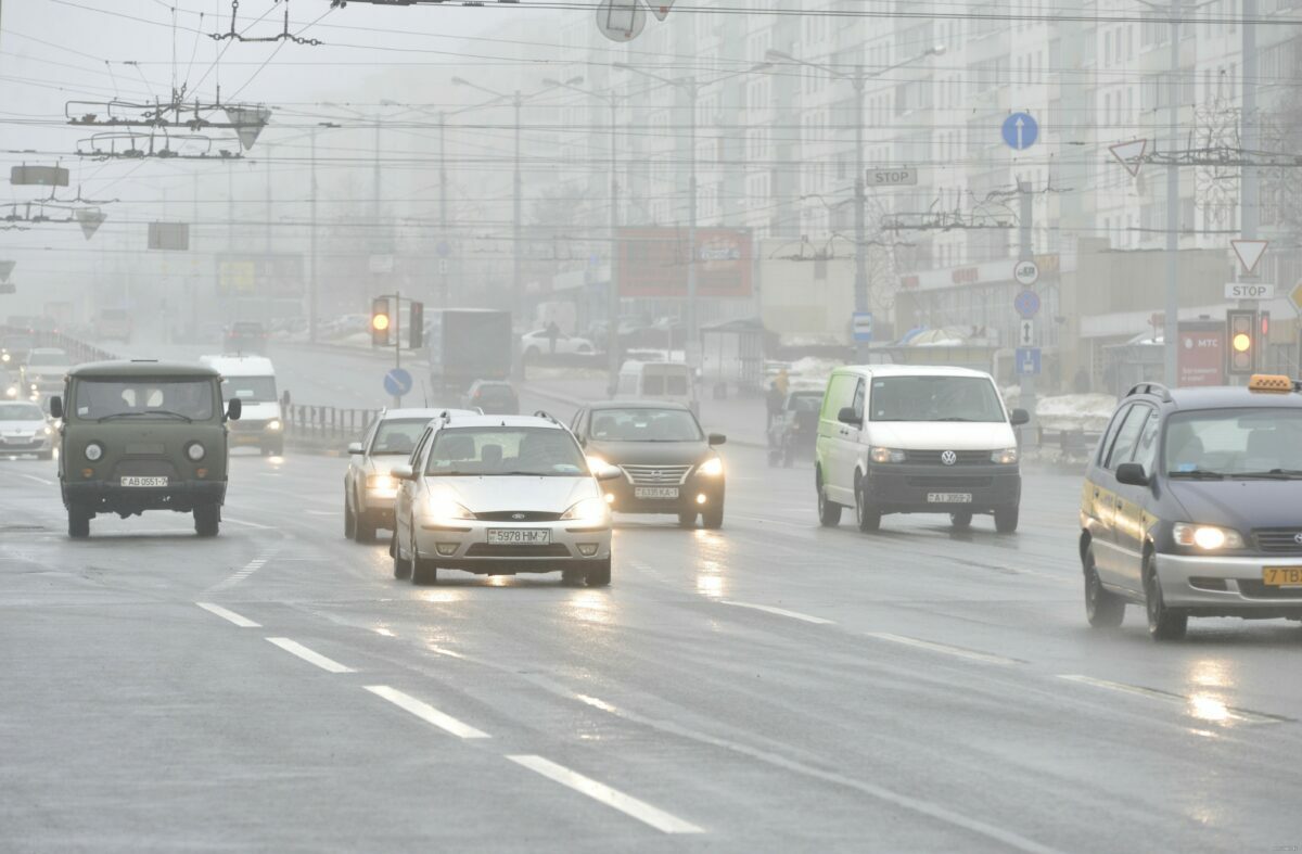 "Шиш, а не зима" - Синоптики рассказали, до каких числе в Беларусь пришло тепло