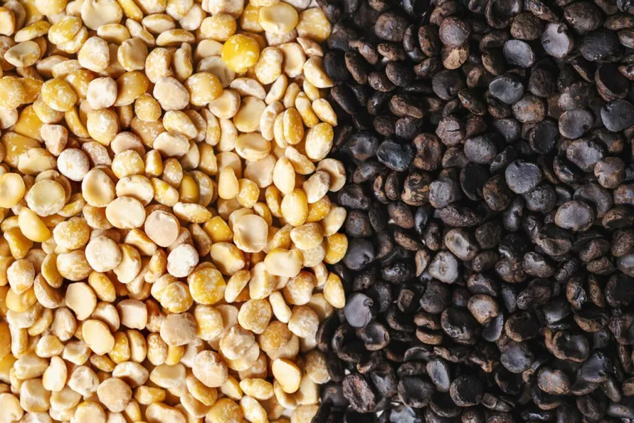 Белорусам приготовиться? Бельгийский стартап придумал, как заменить дорогущий кофе этим растением