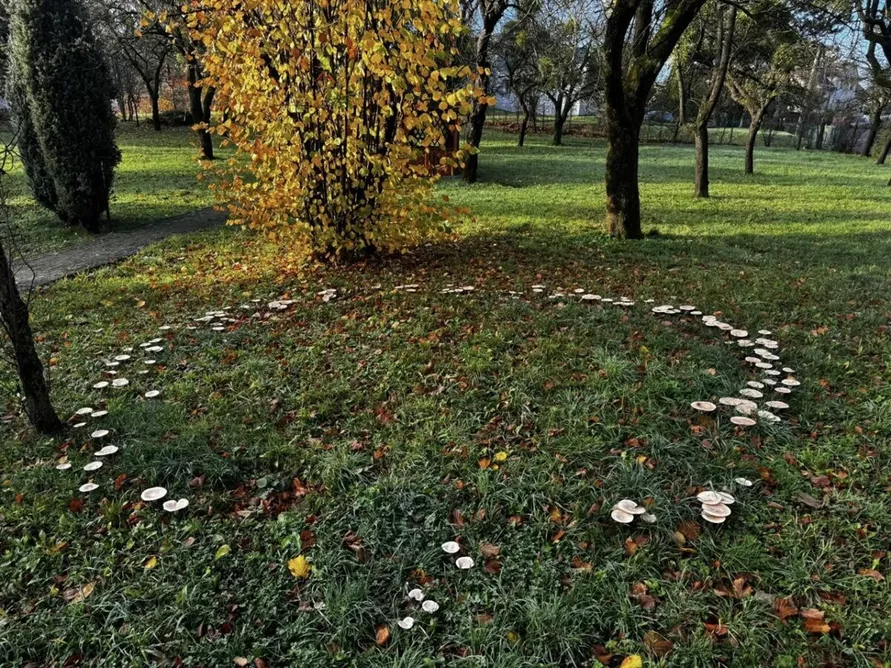 Фото: novinky.cz