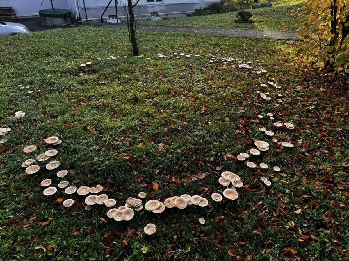 Фото: novinky.cz