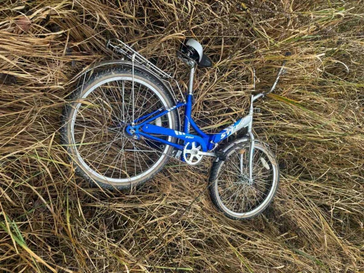 Фото: ПСО "Ангел"