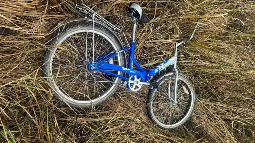 Фото: ПСО "Ангел"