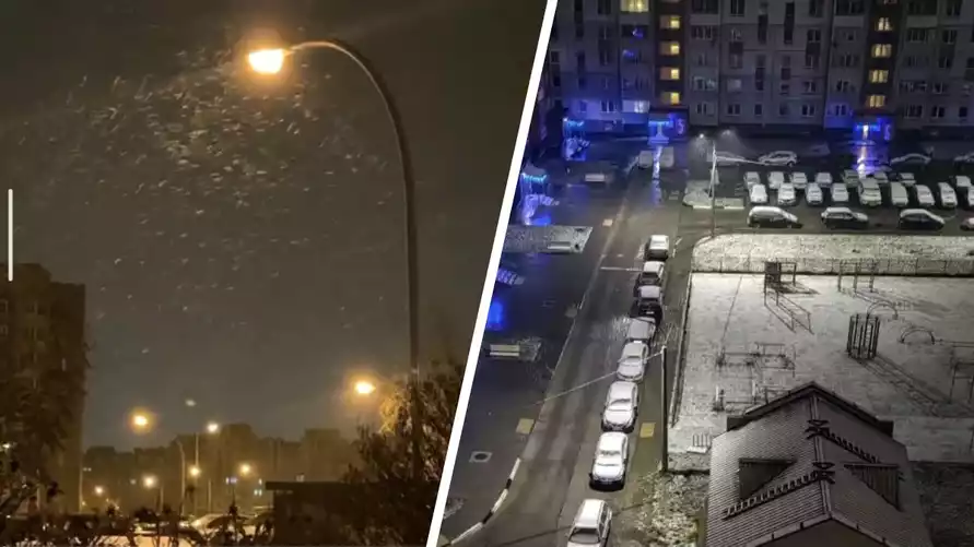 Первый снег пришел в Беларусь. Надолго?