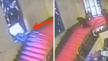 Падения года? Итальянский политик головой разбил исторический витраж и стал интернет-мемом