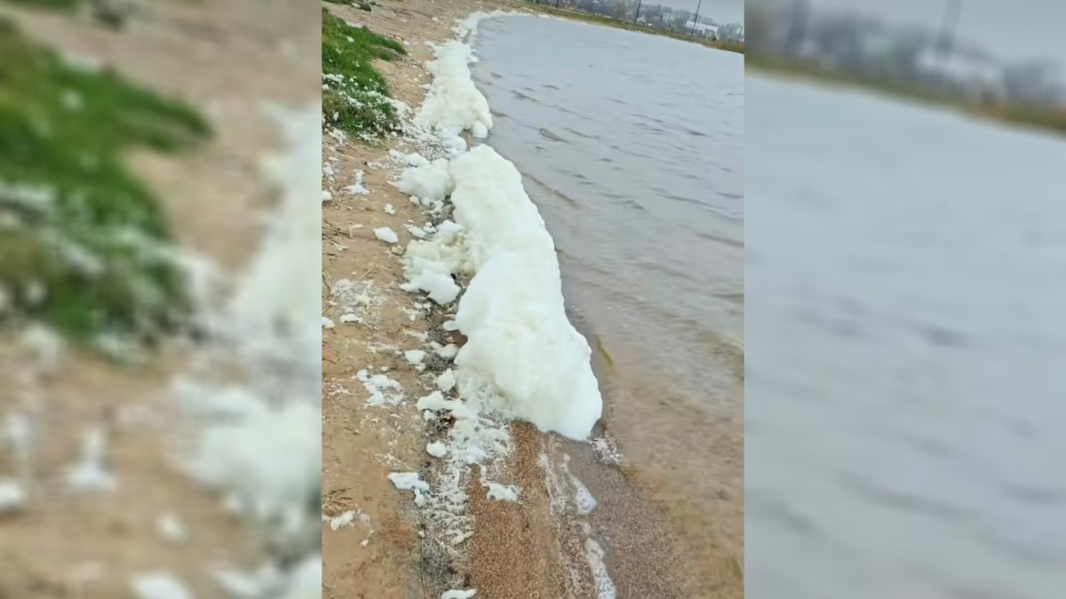 На берегу Смолевичского водохранилища заметили белую пену. Минприроды ответило, что с водой