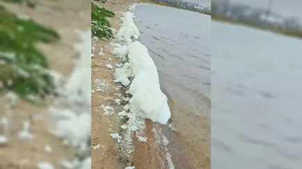 На берегу Смолевичского водохранилища заметили белую пену. Минприроды ответило, что с водой