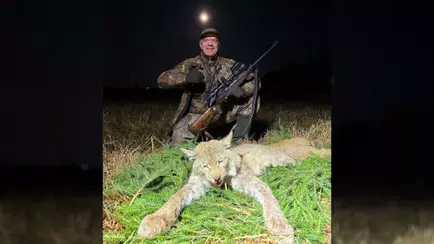 В БООР показали первую убитую за 40 лет в Беларуси рысь