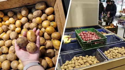 В магазин теперь с линейкой? МАРТ объявил новый ГОСТ для белорусской картошки