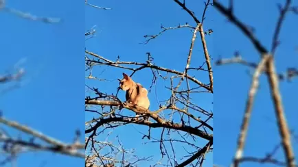 МЧС выступило со спорным призывом, белорусы ответили — «Пожалуйста, не распространяйте»