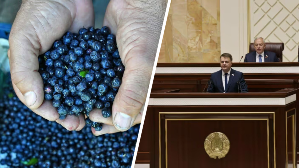 Парламент принял закон, пересматривающий сферы деятельности для ИП в Беларуси