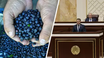 Парламент принял закон, пересматривающий сферы деятельности для ИП в Беларуси