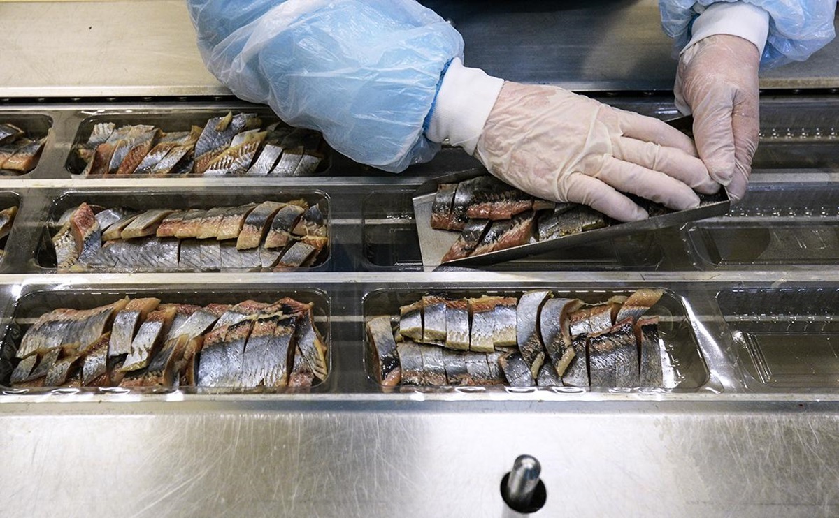 Фото иллюстрационное:  РИА "Новости"