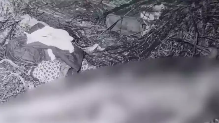 Скриншот видео МВД РБ