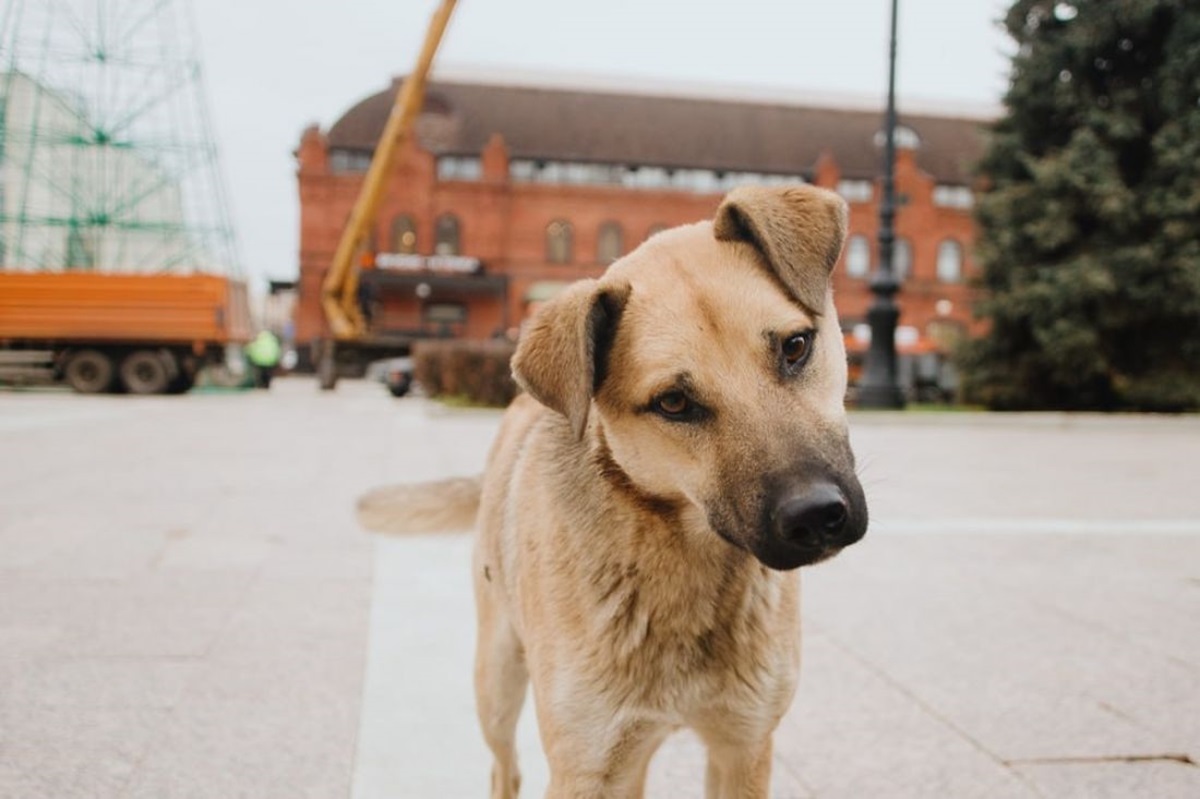 Фото иллюстрационное