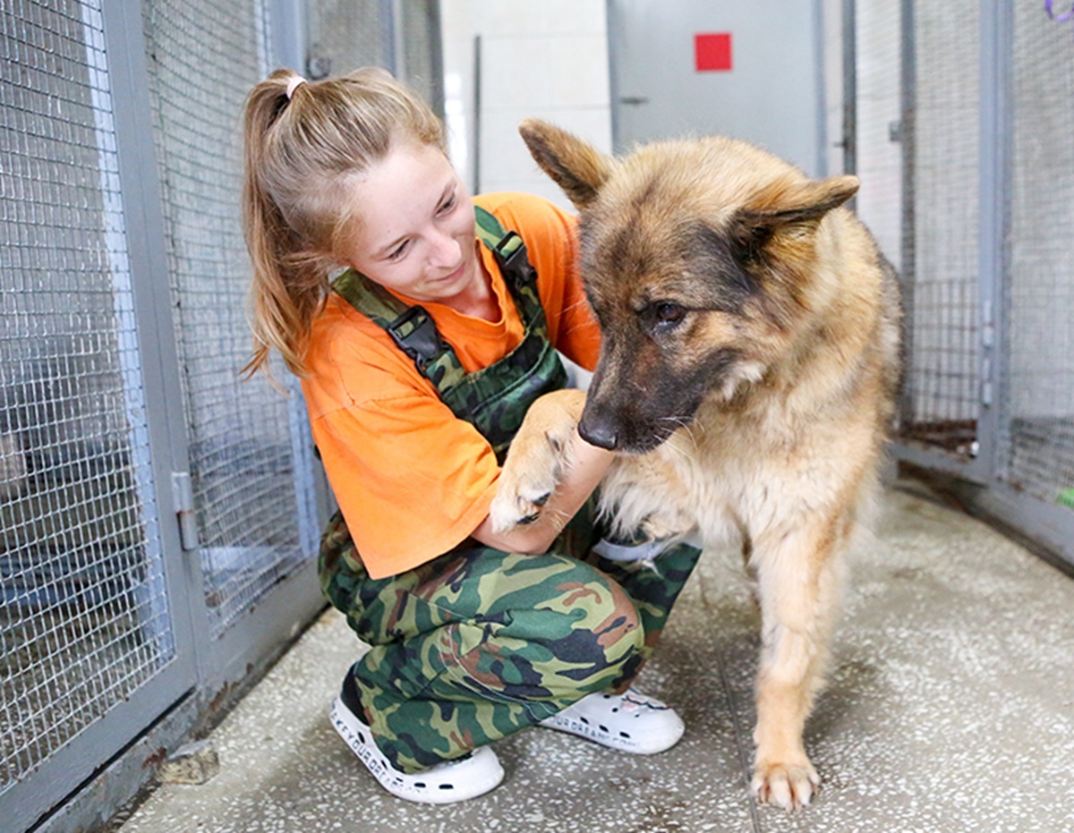 Фото иллюстрационное: "Минск-Новости"