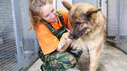 Минский приют для животных попросил руку и сердце белорусов