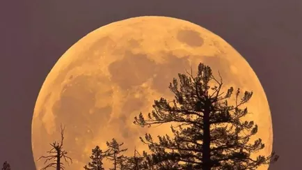 Готовим камеры и пледы – грядёт Бобровая Луна. Вот как не пропустить самое яркое суперлуние-2025