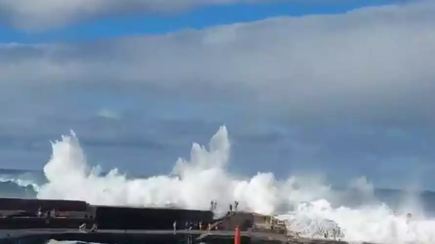 Скриншот видео Х