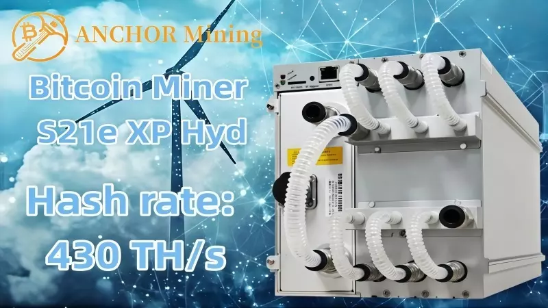 XRP и стабильный заработок как получать $3555 ежедневно через Anchor Mining