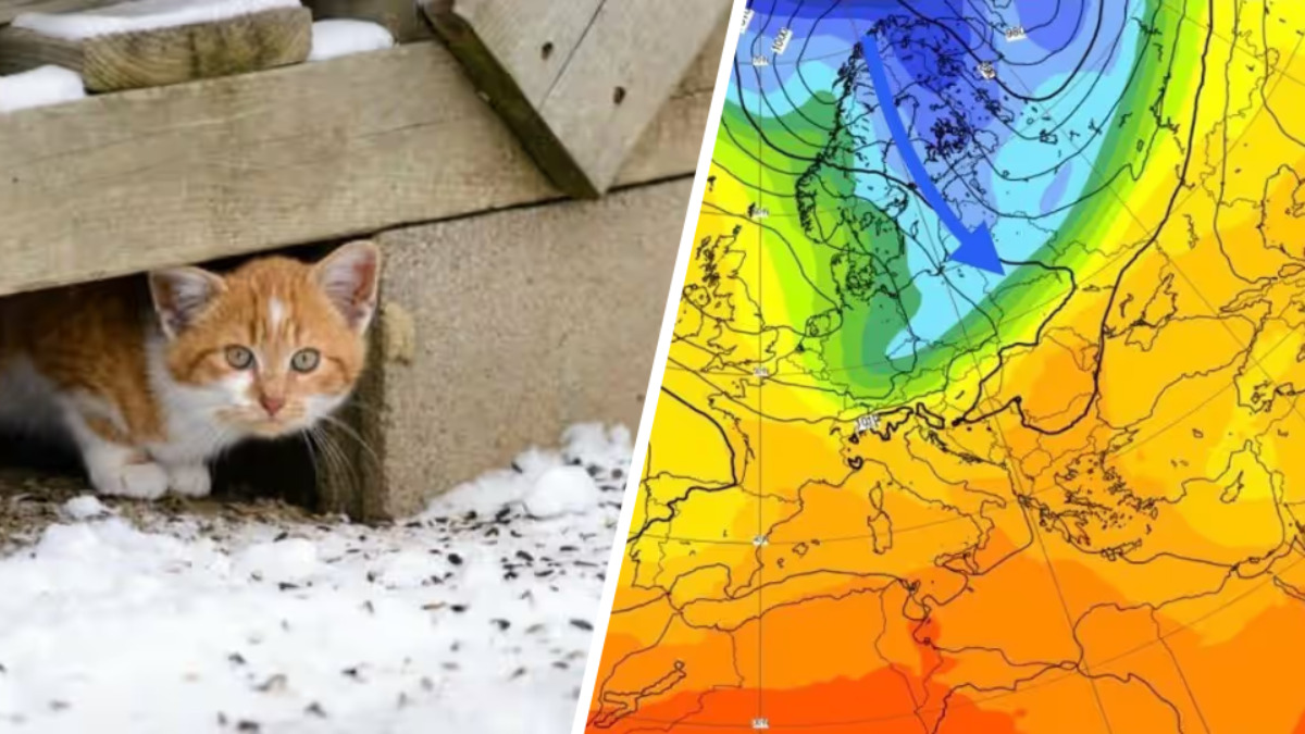 Осень сдала оборону? Синоптики назвали дату существенного похолодания и первого снега в Беларуси