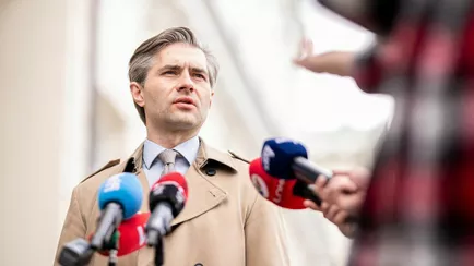 Будрис рассказал о негласных контактах Литвы и Беларуси