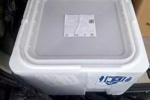 Любите покупать с рук свежую красную икру? Россельхознадзор показал, как её везут в Беларусь