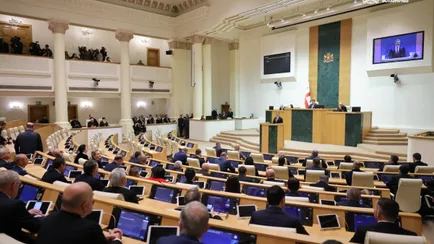 Грузия приняла закон по примеру Беларуси