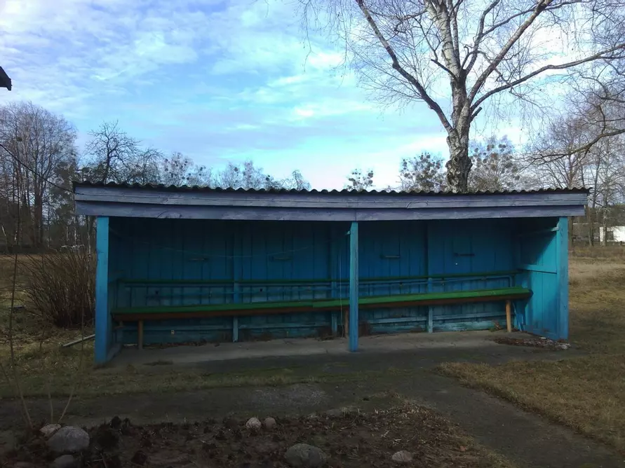 Многодетная мама купила детский лагерь под Гродно, чтобы жить там всей семьёй