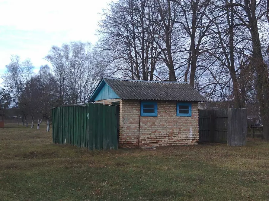 Многодетная мама купила детский лагерь под Гродно, чтобы жить там всей семьёй
