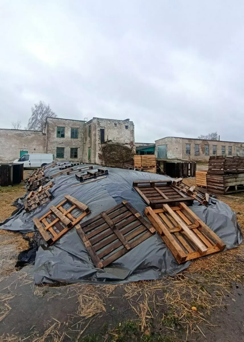 На Гомельщине тонны картофеля для зимнего стабфонда пытались хранить на земле под целлофаном