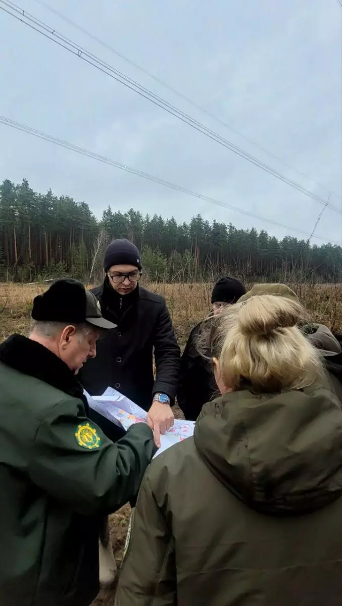 В Минлесхозе Беларуси показали, почему не всю буреломную древесину убрали в лесах - Мы едва смогли добраться