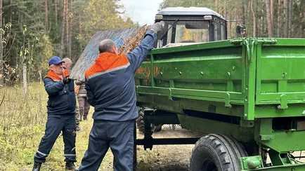 Миниприроды Беларуси запустило чат-бот для жалоб на свалки, вырубки и загрязнение водоёмов