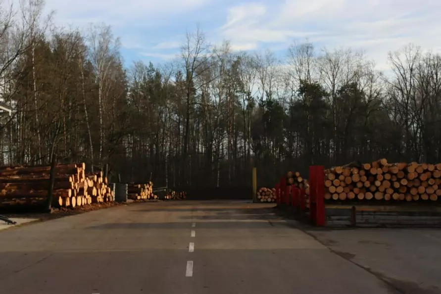 Надо идти в ногу со временем - в Минлесхозе объявили о масштабном производстве поддонов
