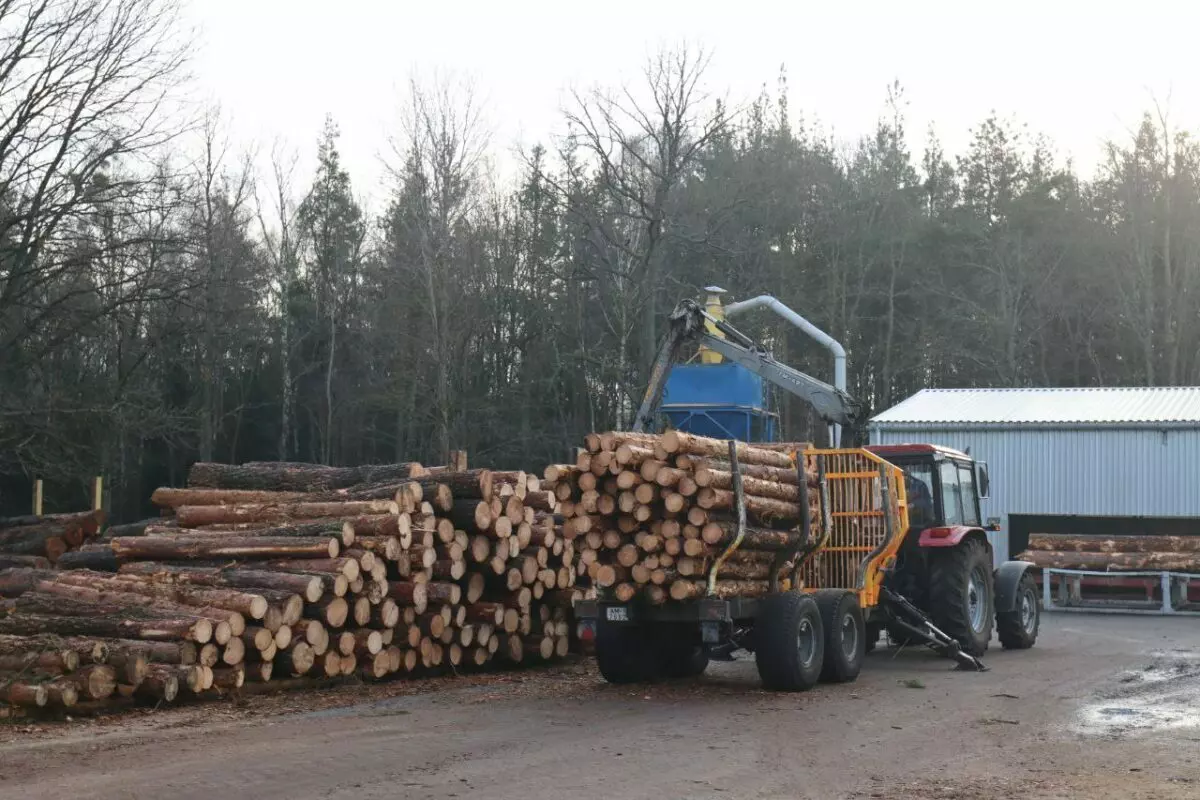 Надо идти в ногу со временем - в Минлесхозе объявили о масштабном производстве поддонов