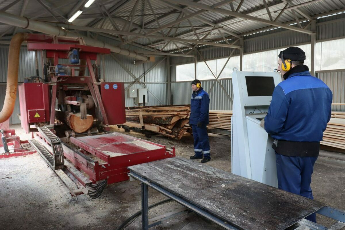 "Надо идти в ногу со временем" - в Минлесхозе объявили о масштабном производстве поддонов