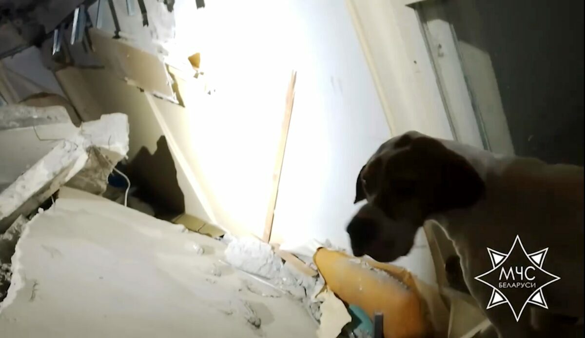 МЧС показало, во что превратились квартиры после обрушения перекрытий в Гомеле