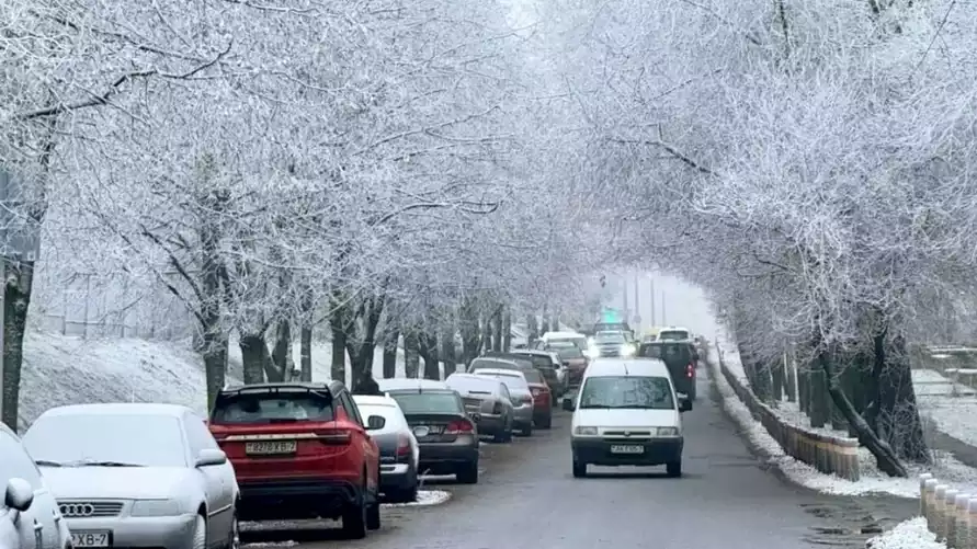 Белгидромет предупредил о потенциальной опасности "антропогенного снега", выпавшего в Минске