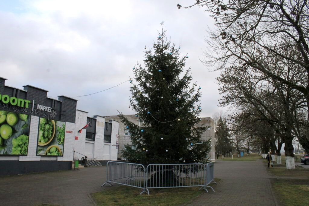 Белорус купил за свой счёт новогоднюю ёлку и поставил её в центре посёлка. А так можно было?