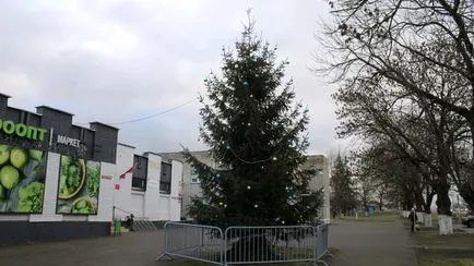 Белорус купил за свой счёт новогоднюю ёлку и поставил её в центре посёлка. А так можно было?