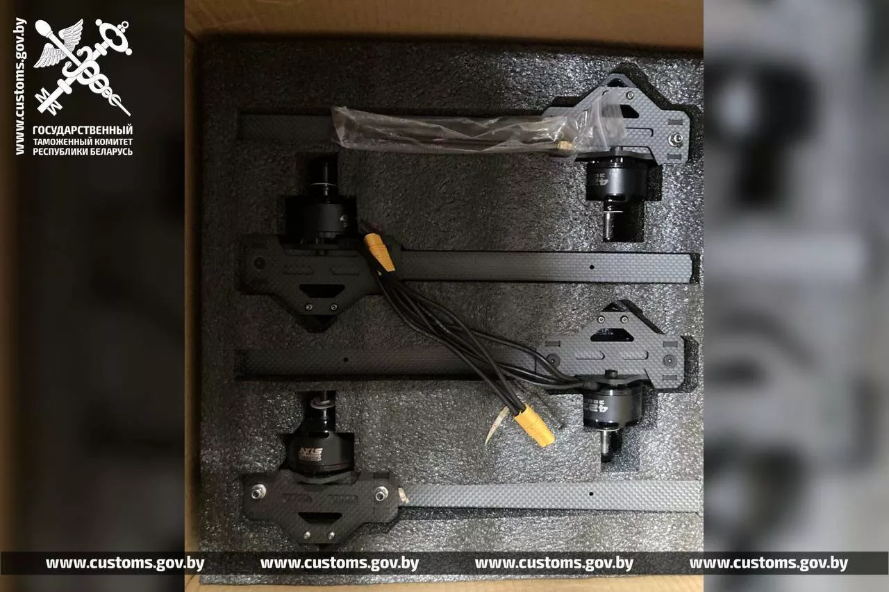 ГТК предупредил белорусов об уголовной ответственности — «Ежедневно нарушают»