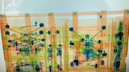 ГТК предупредил белорусов об уголовной ответственности — «Ежедневно нарушают»