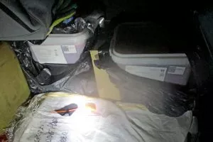 Любите покупать с рук свежую красную икру? Россельхознадзор показал, как её везут в Беларусь