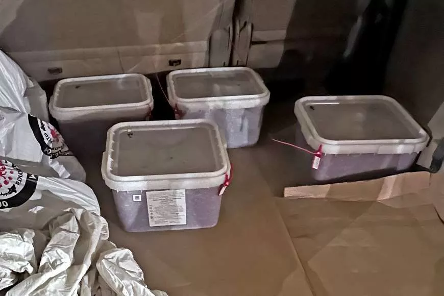 Любите покупать с рук свежую красную икру? Россельхознадзор показал, как её везут в Беларусь