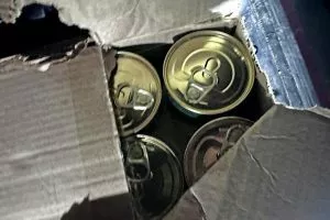 Любите покупать с рук свежую красную икру? Россельхознадзор показал, как её везут в Беларусь