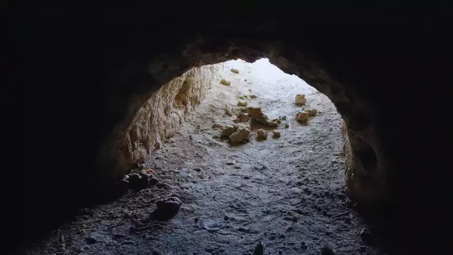 В Южной Америке нашли гигантские тоннели. Их построили не люди