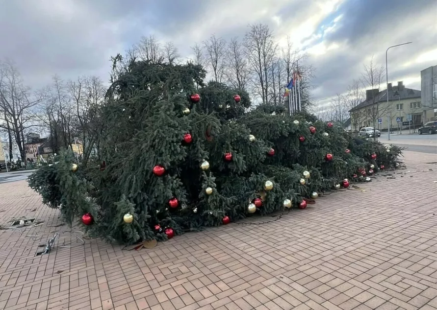 Литву накрыл почти ураган. Доберется ли до Беларуси?