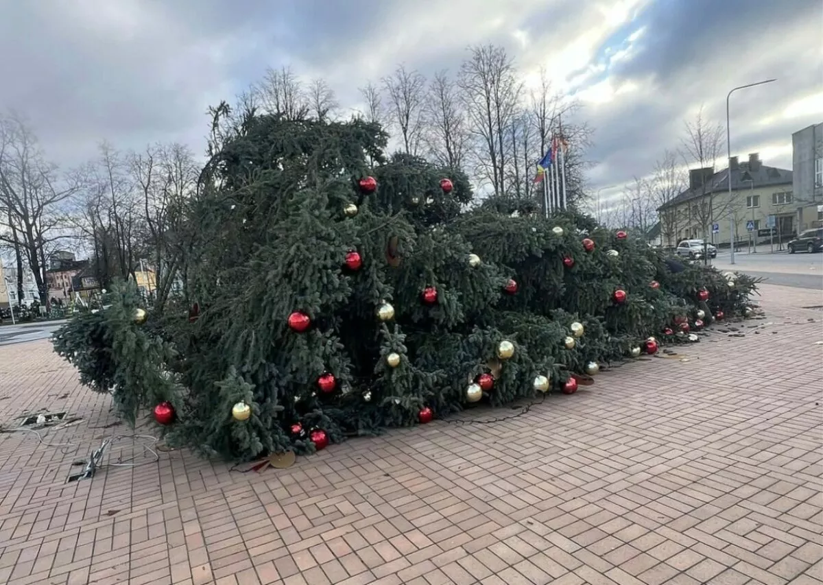 Литву накрыл почти ураган. Доберется ли до Беларуси?