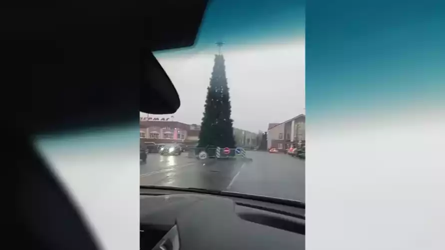 В Смолевичах ёлку обвинили в «нарушении ПДД». Местные не согласились – «Всегда так ставят»